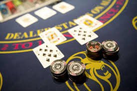 Live dealer dealing Caribbean Stud Poker cards on totobet805login
